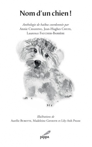 Nom d'un chien